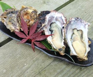 能登かき 一斗缶/約10kg(約80~100個) の画像 2枚目