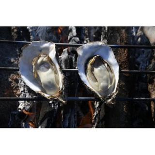 冷凍殻付き牡蠣10個　2袋 広島県廿日市市のサムネイル画像 4枚目