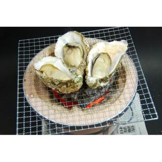 冷凍殻付き牡蠣10個　2袋 広島県廿日市市のサムネイル画像 1枚目