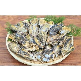 大粒特選 姫路産 剥き真牡蠣(加熱用)約1.5kg 兵庫県姫路市のサムネイル画像 4枚目