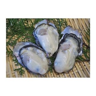 大粒特選 姫路産 剥き真牡蠣（加熱用）約1.5kg 兵庫県姫路市のサムネイル画像 3枚目