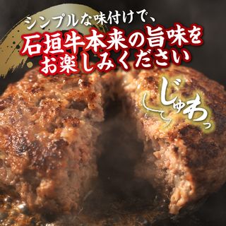 石垣牛ハンバーグセット 100g×10個 沖縄県石垣市のサムネイル画像 2枚目