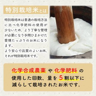 たんちょう杵つき「三色餅」 計30個 ～幻のもち米100％使用～ 福井県坂井市のサムネイル画像 4枚目