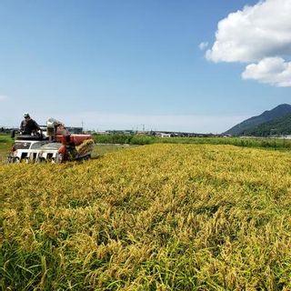 玄米丸餅「いずも美人」 島根県出雲市のサムネイル画像 4枚目