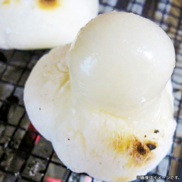 `${productStore.product.name} ${productStore.product.maker.name}の商品画像 ${idx + 1}枚目`