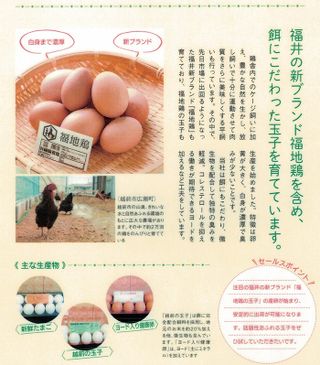 ミネラルを豊富に含んだ越前赤玉子35個の画像 3枚目