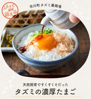 タズミの卵 定期便 全3回 Mサイズの画像 2枚目