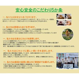 【3か月定期便】純系 名古屋コーチンの卵（30個） 愛知県大府市のサムネイル画像 3枚目