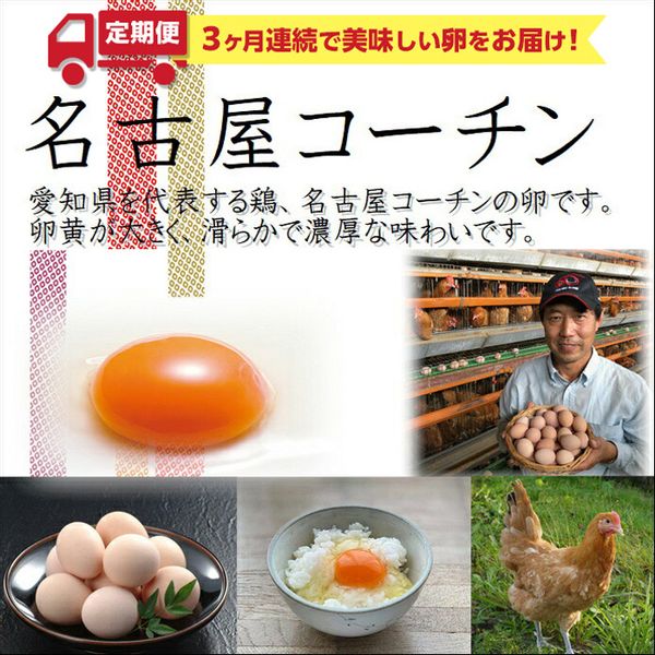 【3か月定期便】純系 名古屋コーチンの卵（30個）の画像