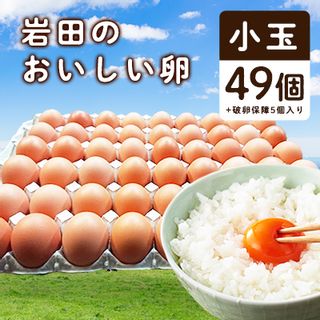 岩田のおいしい卵　小玉49個+破卵保障5個入り 群馬県榛東村のサムネイル画像
