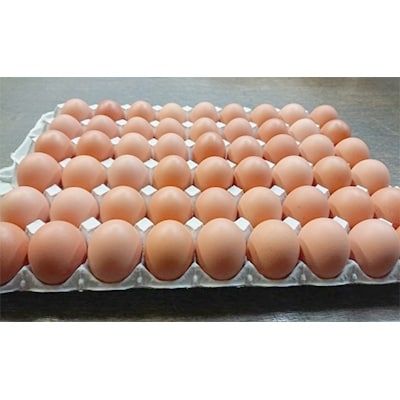 岩田のおいしい卵　小玉49個+破卵保障5個入り 群馬県榛東村のサムネイル画像 2枚目