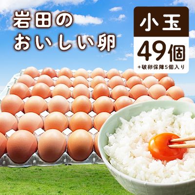 岩田のおいしい卵　小玉49個+破卵保障5個入り 群馬県榛東村のサムネイル画像 1枚目