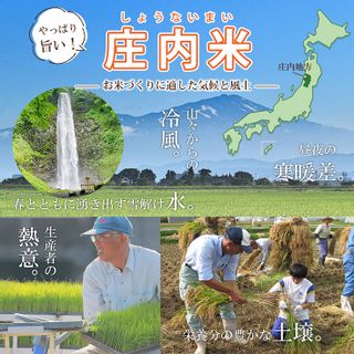 無洗米 つや姫 2kg×3袋 計6kg(令和5年産米)の画像 2枚目