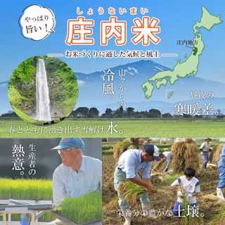 無洗米 つや姫 2kg×3袋 計6kg（令和5年産米） 山形県遊佐町のサムネイル画像 2枚目