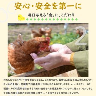 【定期便12回】 高級品質！箱庭たまご 茜 9個 栃木県真岡市のサムネイル画像 4枚目