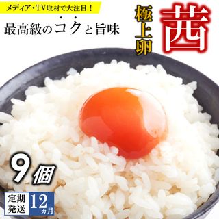 【定期便12回】 高級品質！箱庭たまご 茜 9個 栃木県真岡市のサムネイル画像 1枚目