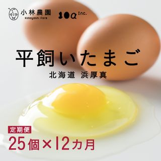 【12回定期便】平飼い有精卵 25個の画像 1枚目