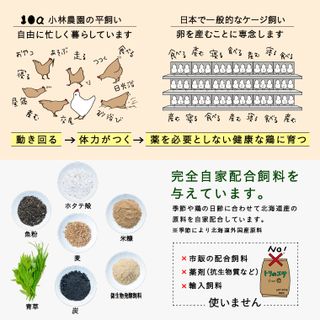 【12回定期便】平飼い有精卵 25個の画像 3枚目