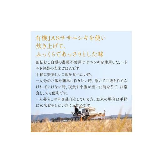 パックご飯 有機ササニシキ 玄米ごはん 160g×20個 宮城県産 宮城県石巻市のサムネイル画像 2枚目