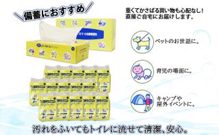 定期便 2カ月連続2回 北海道産 とけまるくん ボックスティッシュ 20箱 ポケットティッシュ 120個 の画像 2枚目