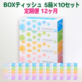 定期便 12回 しろくま ティッシュペーパー パルプ100% 50箱 岩手県一関市のサムネイル画像