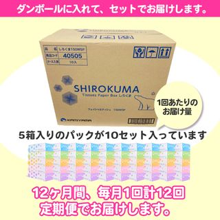 定期便 12回 しろくま ティッシュペーパー パルプ100% 50箱の画像 3枚目