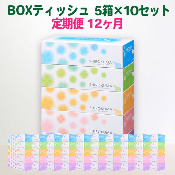 定期便 12回 しろくま ティッシュペーパー パルプ100% 50箱 岩手県一関市のサムネイル画像 1枚目