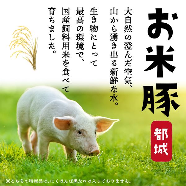 お米豚 3.7kgセット 宮崎県都城市のサムネイル画像 3枚目