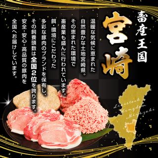 生活応援！大満足豚肉バラエティセット4.5kgの画像 2枚目