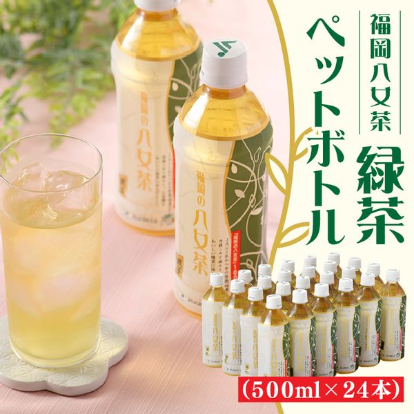 福岡八女茶のペットボトル.緑茶（５００ml×２４本）の画像