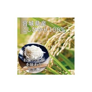 宮城県産コシヒカリ使用　米粉パスタ グルテンフリー米粉麺 10袋の画像 2枚目