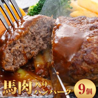 馬肉入り手作りハンバーグ（約150g×9個） 熊本県長洲町のサムネイル画像 1枚目