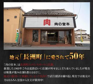 馬肉入り手作りハンバーグ（約150g×9個） 熊本県長洲町のサムネイル画像 3枚目