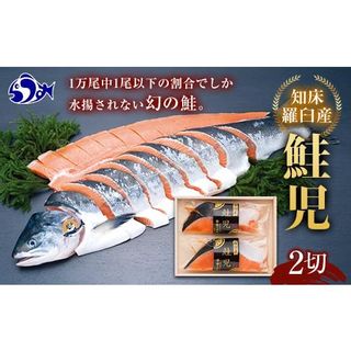 鮭の丸亀 北海道知床羅臼産 鮭児（生冷凍）2切箱詰【化粧箱入】 生産者 支援 応援 F21M-750 北海道羅臼町のサムネイル画像