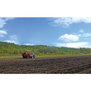 ［012-V50］北海道　ジャガイモ　◆2023年11月発送｜北海道産インカのめざめとじゃがいも3種セット＜計12kg＞ 北海道上士幌町のサムネイル画像 3枚目