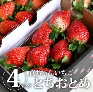 とちおとめ4パック(貞ちゃんいちご)の画像 1枚目