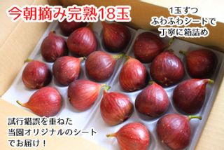 豊熟ふわとろいちじく(A級・AAA級)の画像 1枚目