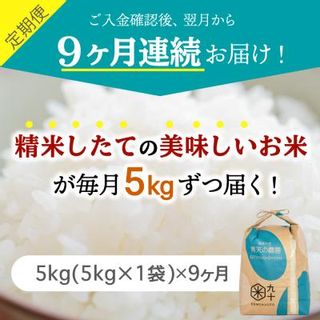 【定期便 9ヶ月】 米 青天の霹靂 5kg 青森県産 【特A 一等米】 定期便9回 5kg×9回の画像 2枚目