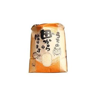 【定期便】令和5年産 漢方栽培 十四代目のササニシキ 5kg（精米）全12回 F3S-1702 山形県新庄市のサムネイル画像 2枚目