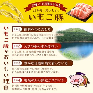 【年6回定期便/偶数月】訳あり いもこ豚(彩) バラエティセット 1.6kg×6回の画像 2枚目