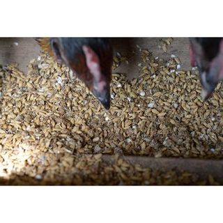軍鶏シャポン（去勢鶏）の半羽分焼き鳥セット 新潟県阿賀野市のサムネイル画像 4枚目