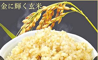 おくさま印 プレミアム玄米ごはん(120g) 幸南食料株式会社のサムネイル画像 3枚目