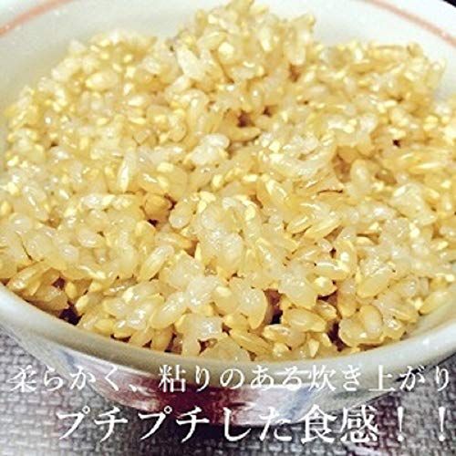 おくさま印 プレミアム玄米ごはん(120g)の画像