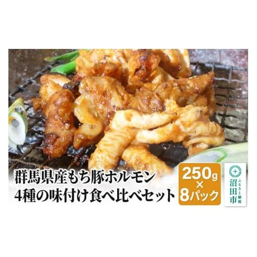 群馬県産もち豚ホルモン2kg（250g×8パック）4種の味付け食べ比べセットの画像