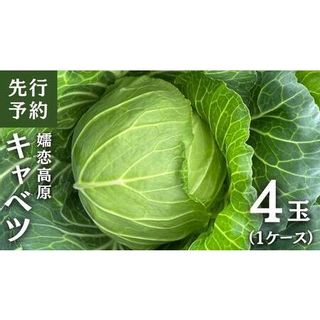 《先行予約》 嬬恋 高原 キャベツ 4玉 1ケース  群馬県嬬恋村のサムネイル画像 1枚目