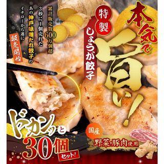 特性生姜餃子 餃子専門店イチローのサムネイル画像 2枚目