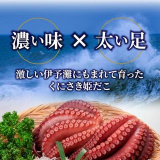 旨味凝縮！姫だこキムチ【300ｇ×２Ｐ】 大分県国東市のサムネイル画像 2枚目