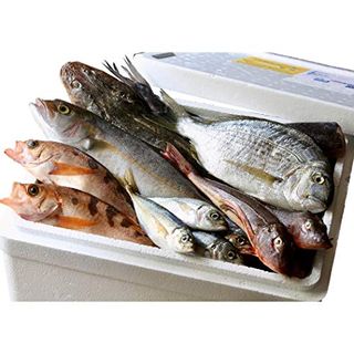 鮮魚お試しセットプラン 魚卓のサムネイル画像 1枚目