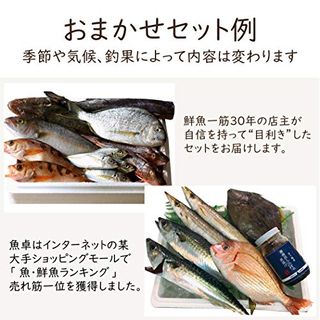 鮮魚お試しセットプラン 魚卓のサムネイル画像 3枚目