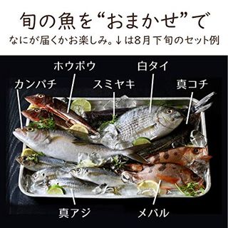 鮮魚お試しセットプラン 魚卓のサムネイル画像 2枚目